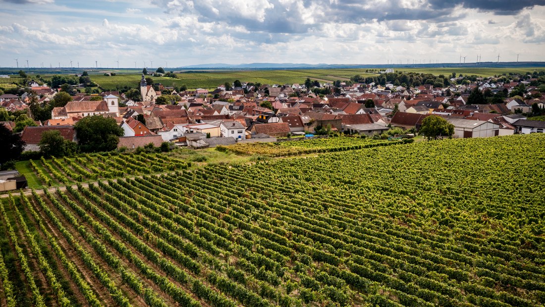 Bechtheimer Rosengarten Bechtheimer Rosengarten