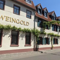 Weingold Domhof © Weingut Domhof Weingold Domhof © Weingut Domhof