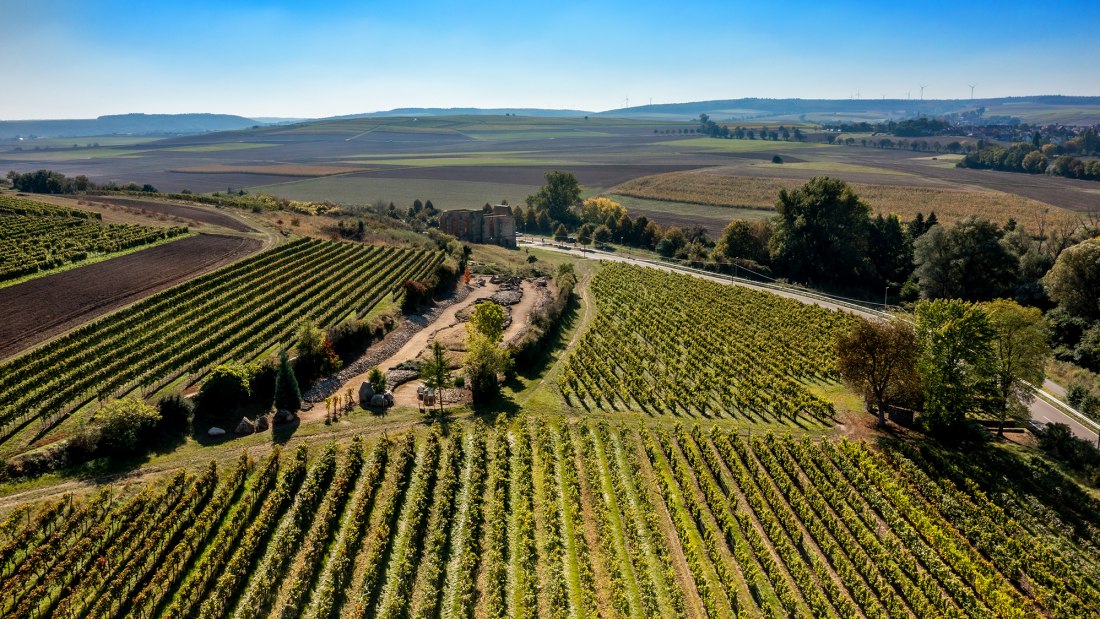 Eckelsheimer Kirchberg Eckelsheimer Kirchberg