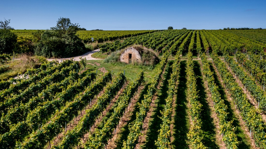 Dienheimer Tafelstein Dienheimer Tafelstein