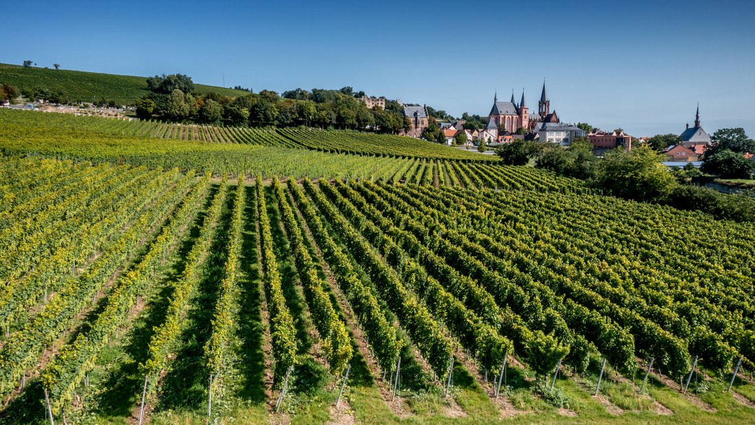 Oppenheimer Kreuz Oppenheimer Kreuz