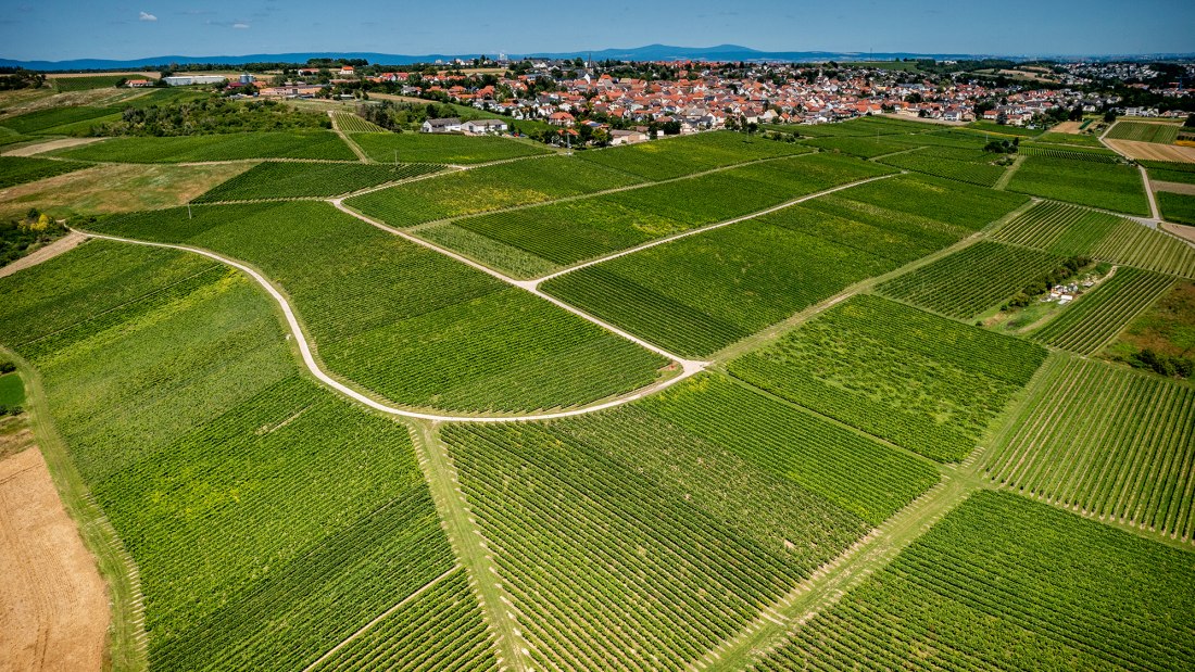 Ober-Olmer Kapellenberg Ober-Olmer Kapellenberg