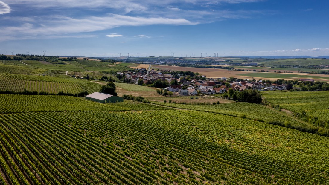 Gau-Heppenheimer Schlossberg Gau-Heppenheimer Schlossberg