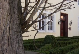 Gro&szlig;er Baumstamm im Vordergrund, dahinter ein Haus mit heller Fassade, wei&szlig;en Fenstern und dunkler Holzt&uuml;r 