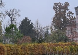 Mathildengarten, © Barbara Reif
