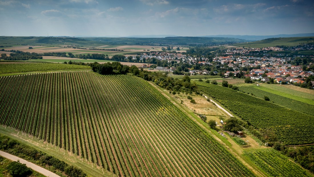 Stadecker Lenchen
