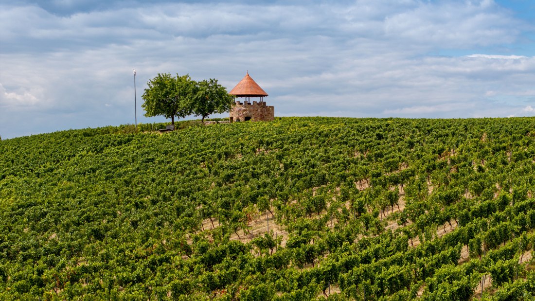 Spiesheimer Osterberg-068 Kopie, &copy; Torsten Silz