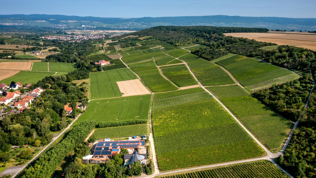 Gau-Algesheimer Goldberg