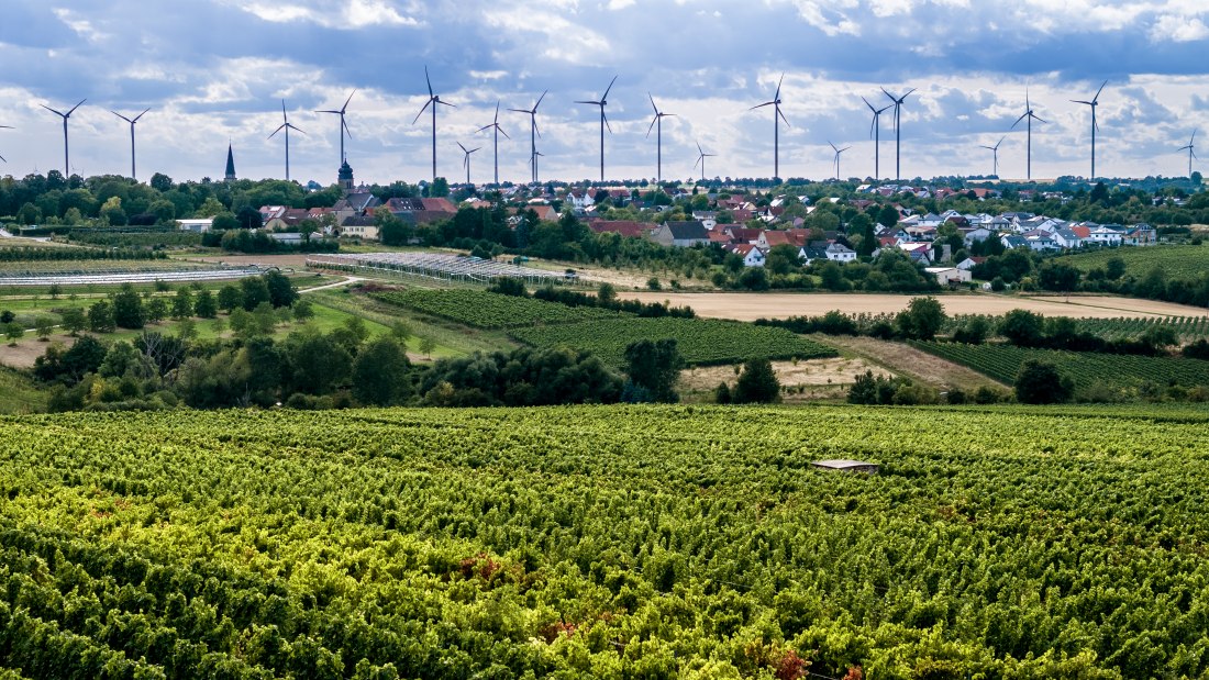 Ober-Fl&ouml;rsheimer Bl&uuml;cherpfad