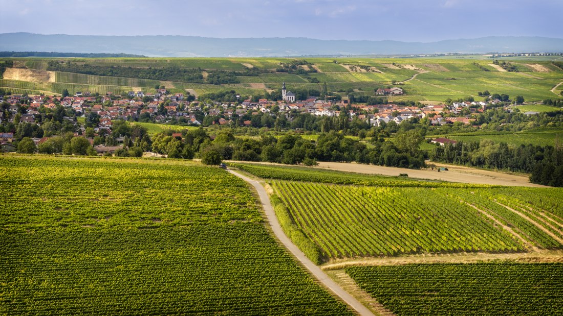 Partenheimer Sankt Georgen, © Torsten Silz