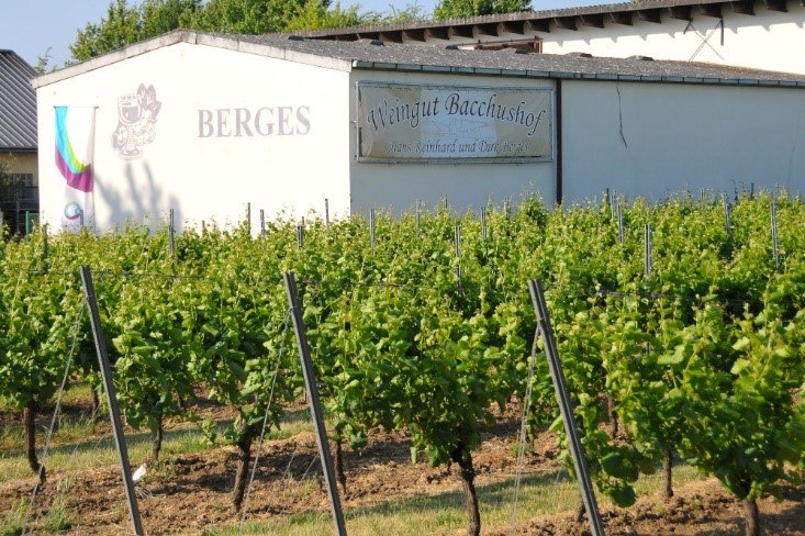 Weingut Bacchushof_Au&szlig;enansicht 2, &copy; Weingut Bacchushof