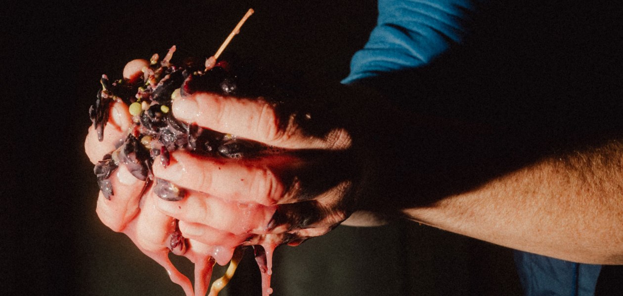 &Ouml;kologischer Weinbau Huster_Tobias Huster Weinbereitung, &copy; &Ouml;kologischer Weinbau Huster