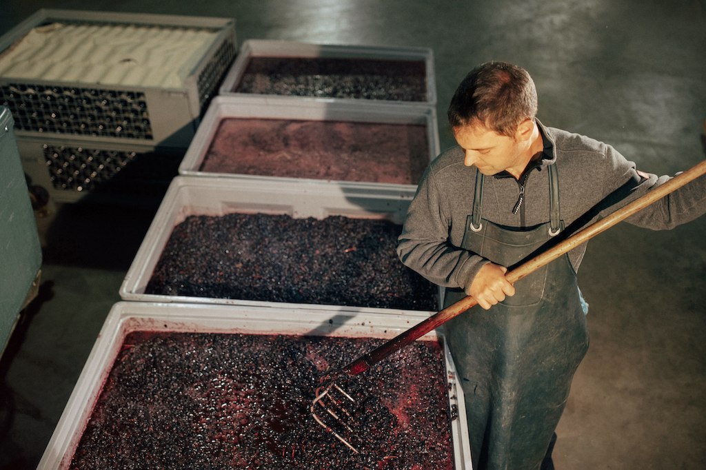 Lorenz_Maische, &copy; Weingut Lorenz