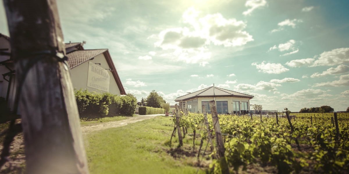 Weingut Hagemann_Aussenansicht Vinothek und Gaestehaus, &copy; Weingut Hagemann