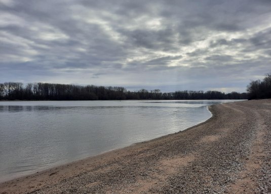 Rheinstrand Oppenheim &copy; TSC Rhein-Selz