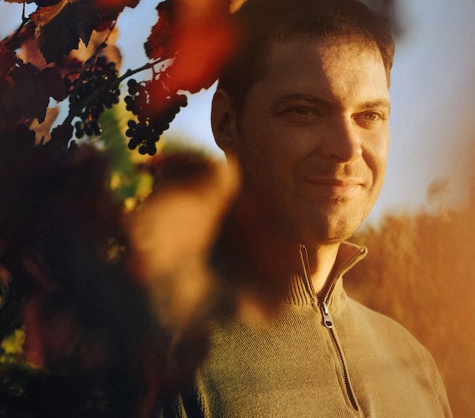 Lorenz_in_Weinrebe, &copy; Weingut Lorenz