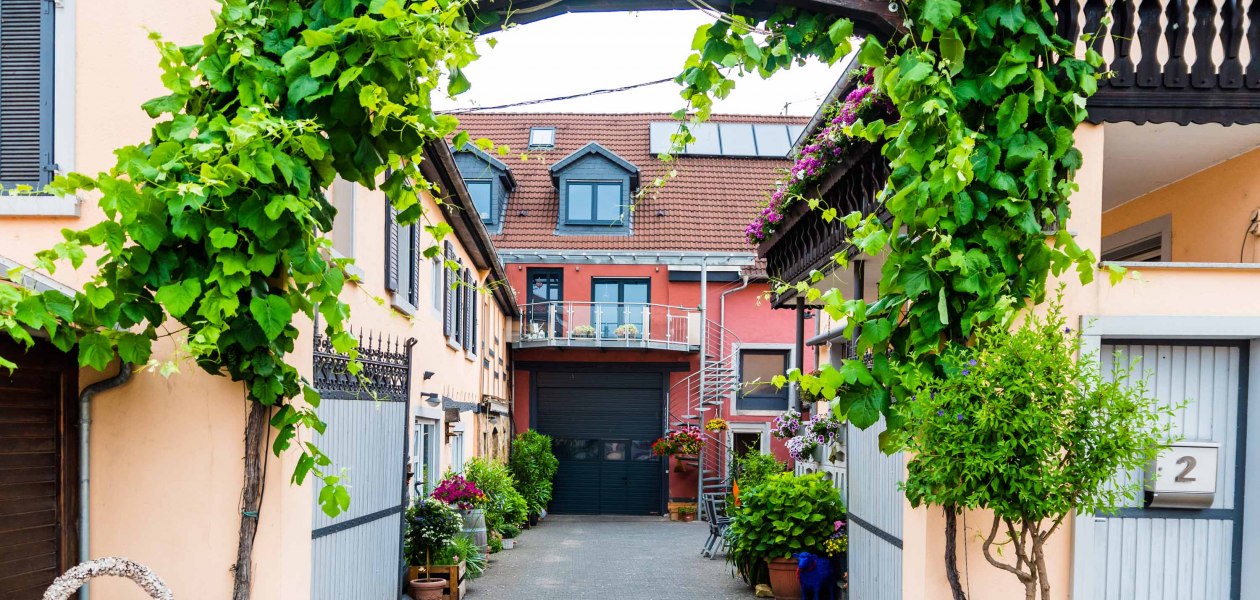 Weingut Hammen_Gebäude 2, © Weingut Hammen