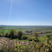 Schanzenbergh&uuml;tte Weinolsheim 4 &copy; TSC Rhein-Selz