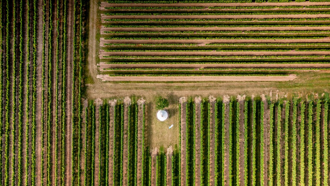Gundheimer Mandelbrunnen
