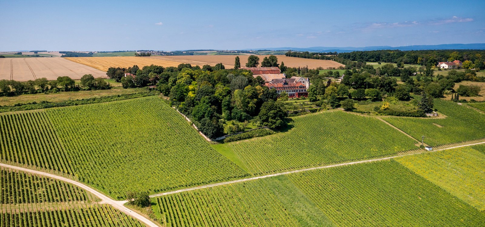 Ingelheimer Schloß Westerhaus