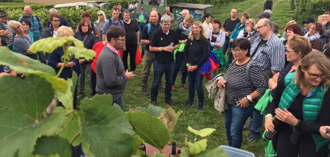 Weingut Fischborn Bergeshof_Weinprobe, &copy; Weingut Fischborn Bergeshof