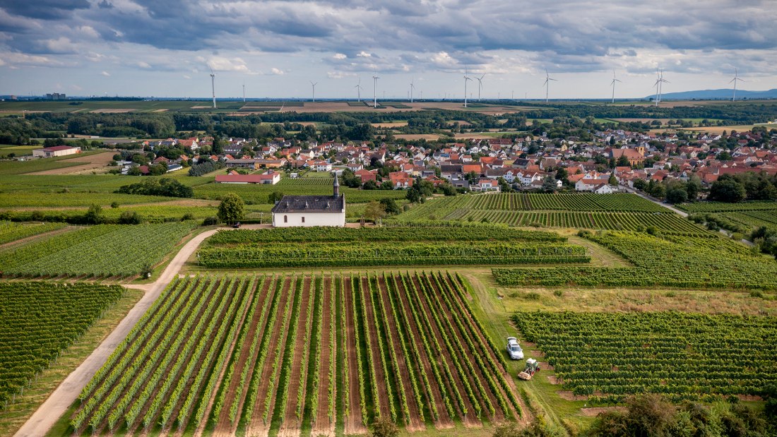 Abenheimer Klausenberg, &copy; Torsten Silz