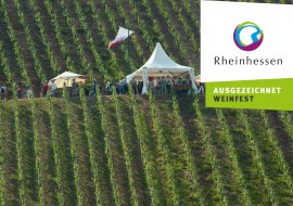 Weinpr&auml;sentation_Roter Hang, &copy; Ullrich Knapp