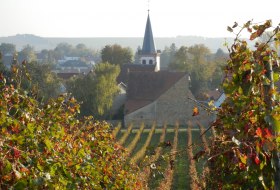 Blick auf ein Dorf mit einer Kirche und einem spitzen Kirchturm, umgeben von herbstlichen Weinreben