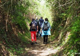 Wanderung WeinErlebnisPfad, &copy; Verkehrsverein Guntersblum / Rhein e.V.