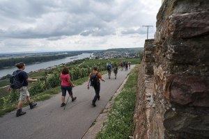 RheinWandern, © inmedia.info