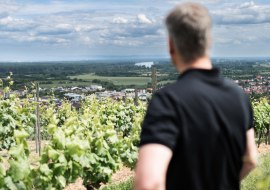Fr&uuml;hjahrsweinprobe Weingut Martinshof, &copy; Weingut Martinshof
