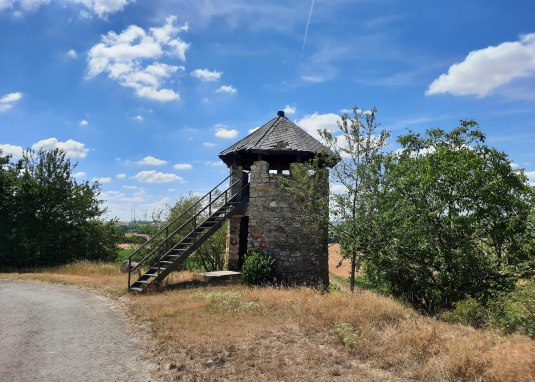 Weinbergsturm Hillesheim Rheinhessen 2 © TSC Rhein-Selz