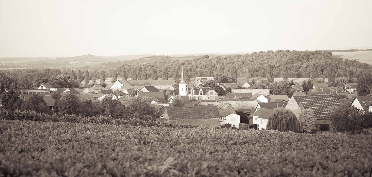 Weingut Lawall-St&ouml;hr_Gemeinde, &copy; Weingut Lawall-St&ouml;hr