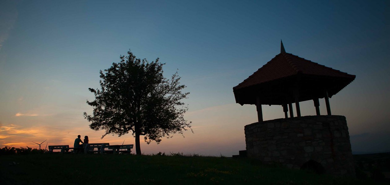 Weingut Lawall-St&ouml;hr_Weinberg, &copy; Weingut Lawall-St&ouml;hr