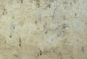Loess Pararendzina&nbsp; &copy; Landesamt f&uuml;r Geologie und Bergbau Rheinland-Pfalz