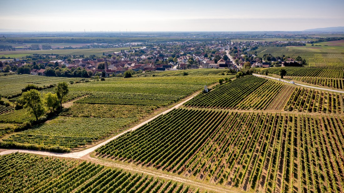 Dalsheimer B&uuml;rgel