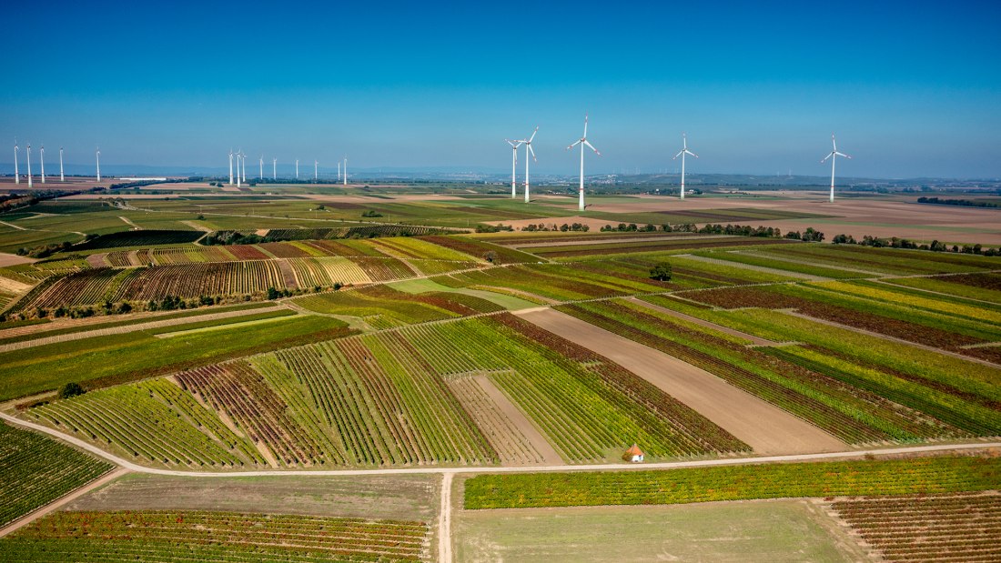 Biebelnheimer Rosengarten