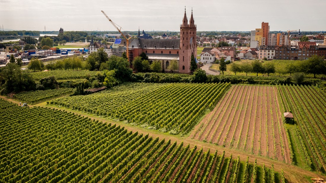 Wormser Liebfrauenstift Kirchenst&uuml;ck