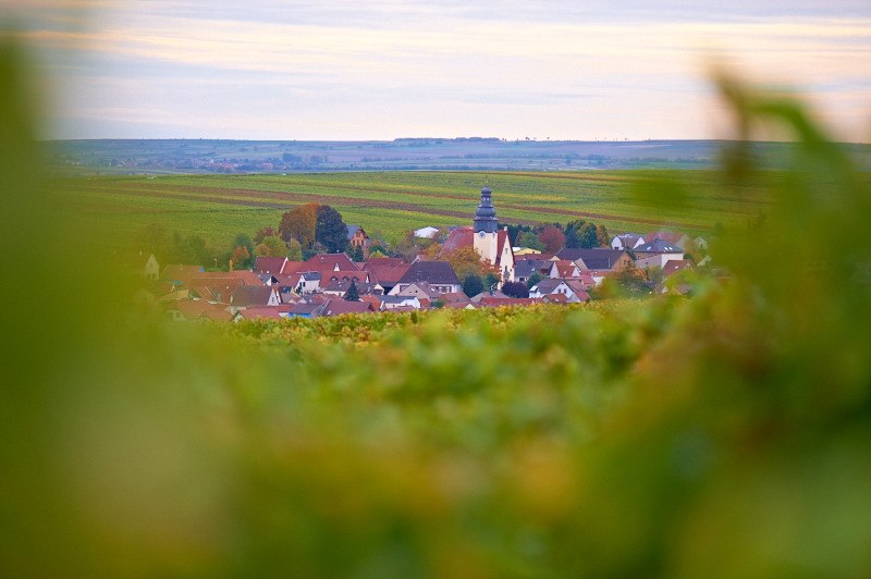 Weingut Schoeneck-Schnell_Ausblick, &copy; Weingut Schoeneck-Schnell