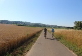 Fahrt auf dem Selztalradweg bei Gau-Odernheim © Rheinhessen Touristik GmbH