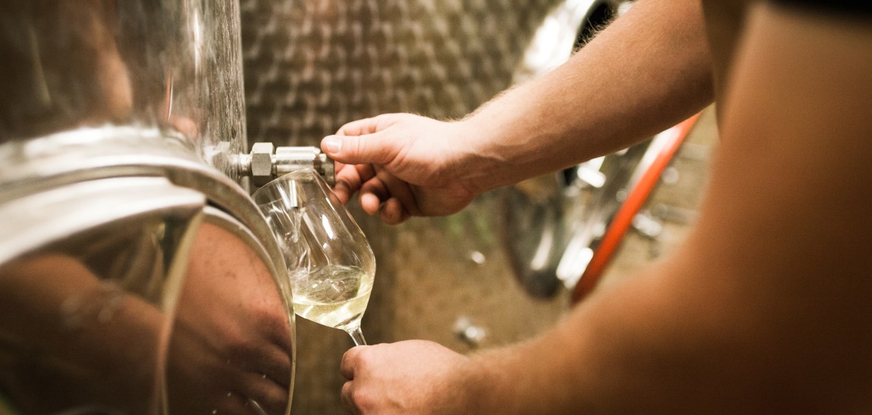 Weingut Dackermann_Keller, &copy; Weingut Dackermann