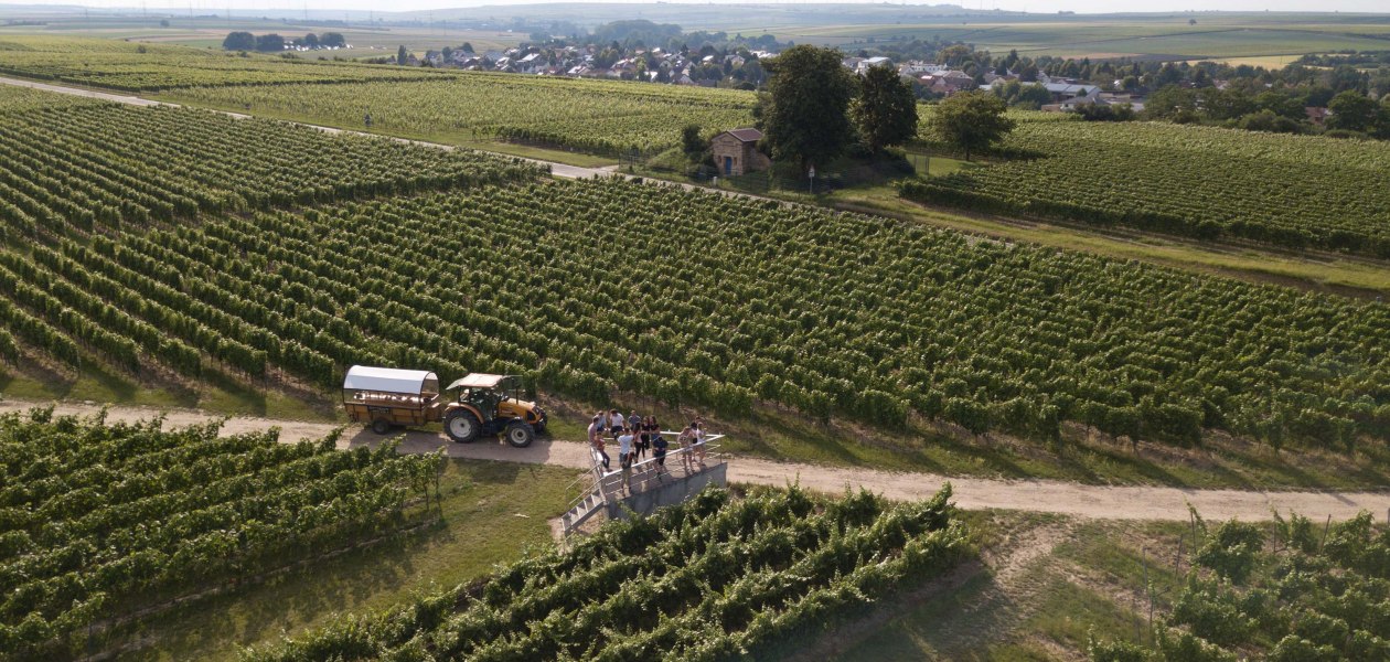 Weingut Grittmann_Weinbergsrundfahrt, © Weingut Grittmann