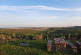 Junghennblick mit Rastmöglichkeit Uelversheim © TSC Rhein-Selz