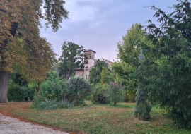 Mathildengarten, © Barbara Reif