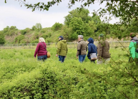 Hiestand Wein & Wandern &copy; Marc Nagel