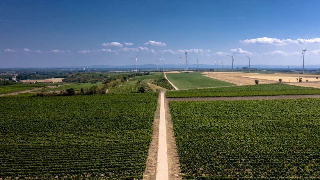 M&ouml;rstadter Nonnengarten