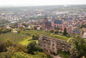 Oppenheim von oben © Dominik Ketz, Rheinhessen-Touristik GmbH