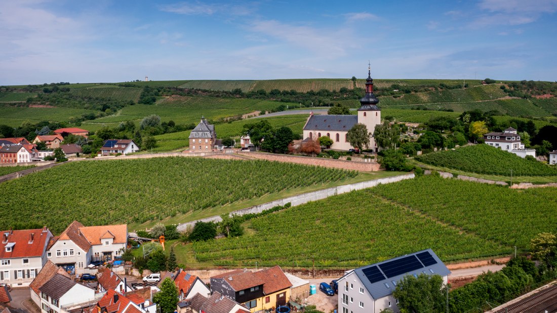 Niersteiner Glöck