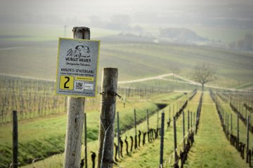 Weingut Wagner_Weinberg, © Weingut Wagner