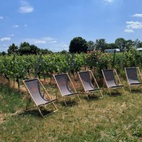 Liegest&uuml;hle beim After Work Schobbe &copy; Weingut am Honigberg